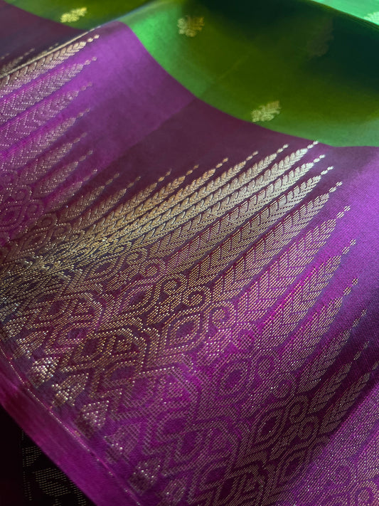 Pure silk latest design new arrival: Handloom Double Warp beautiful intricate design Saree
