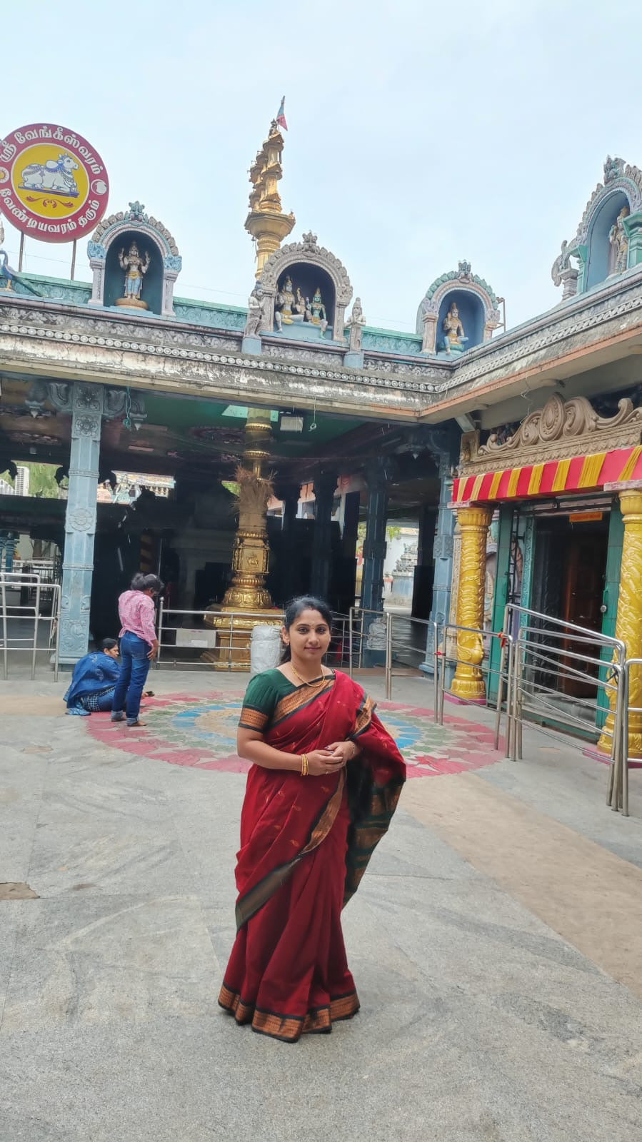 Premium Quality Kalyani cotton saree/Lata Gadwal Paithani