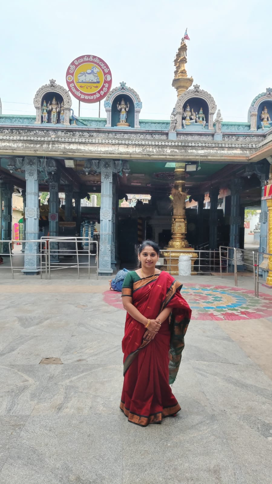 Premium Quality Kalyani cotton saree/Lata Gadwal Paithani