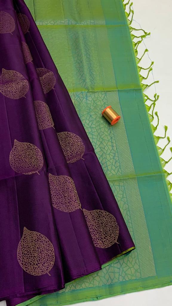 Pure handloom borderless double warp silk saree