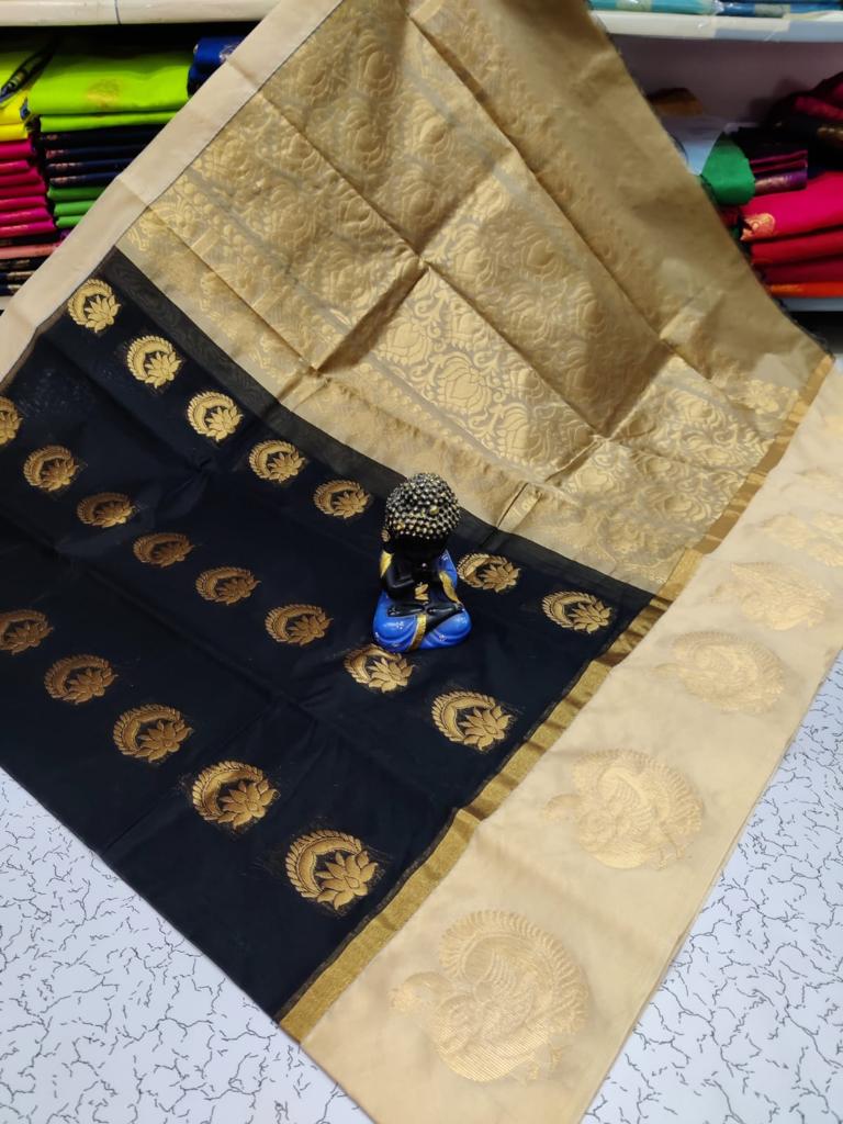 Black with Beige kottanchi silk cotton saree